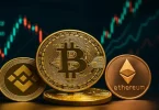 đánh giá coin mới lên sàn
