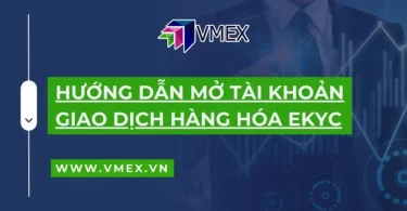 hướng dẫn mở tài khoản giao dịch